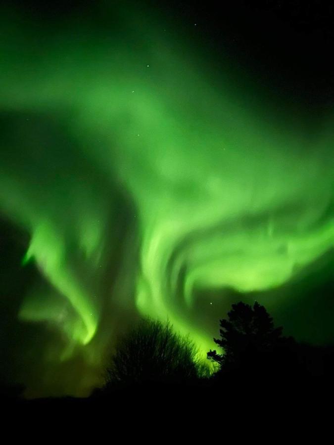 Golden Circle Domes - Glamping Experience Hotel Selfoss Exterior photo