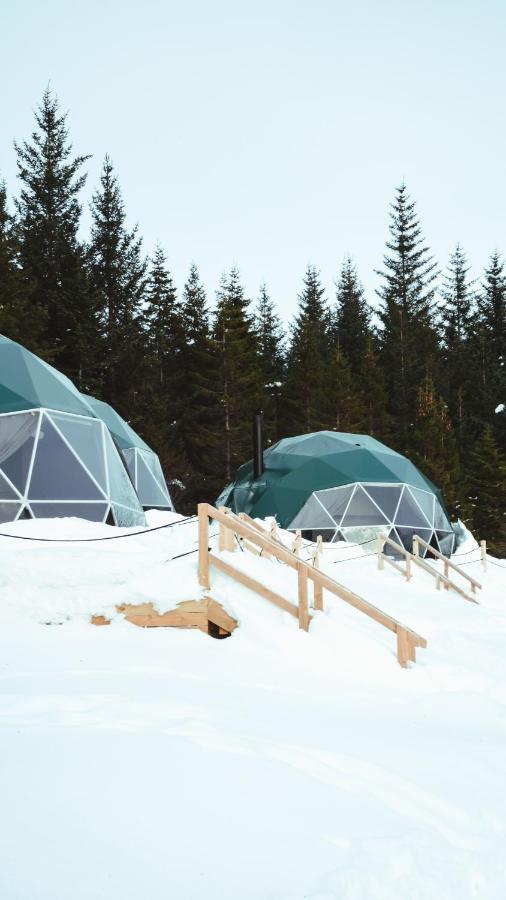 Golden Circle Domes - Glamping Experience Hotel Selfoss Exterior photo