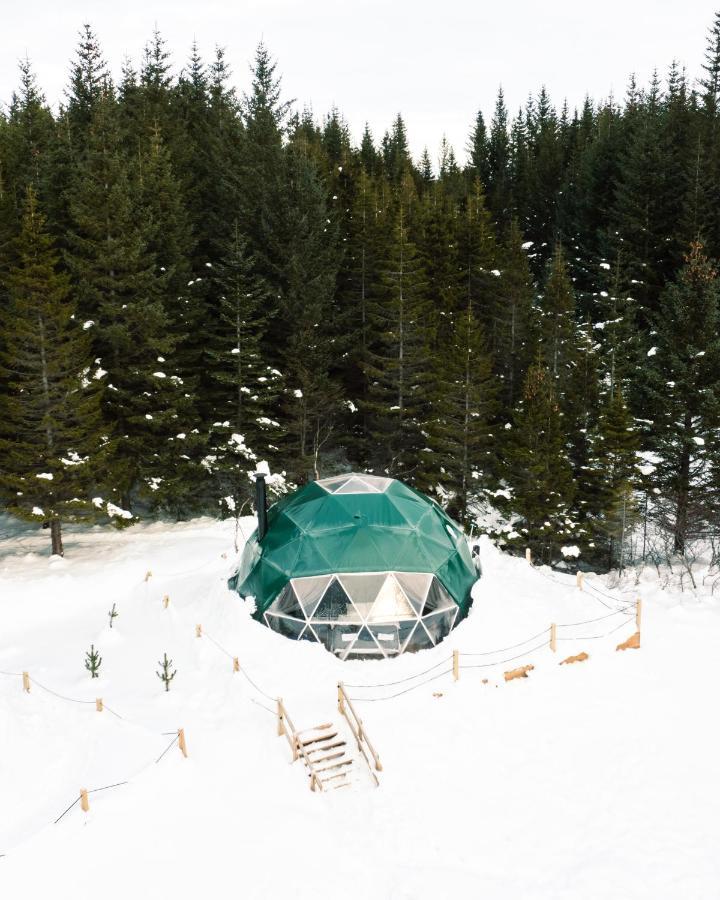 Golden Circle Domes - Glamping Experience Hotel Selfoss Exterior photo