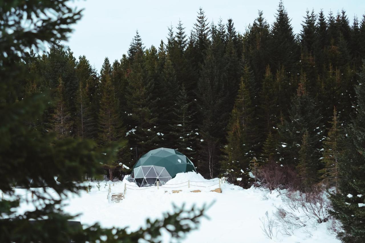 Golden Circle Domes - Glamping Experience Hotel Selfoss Exterior photo