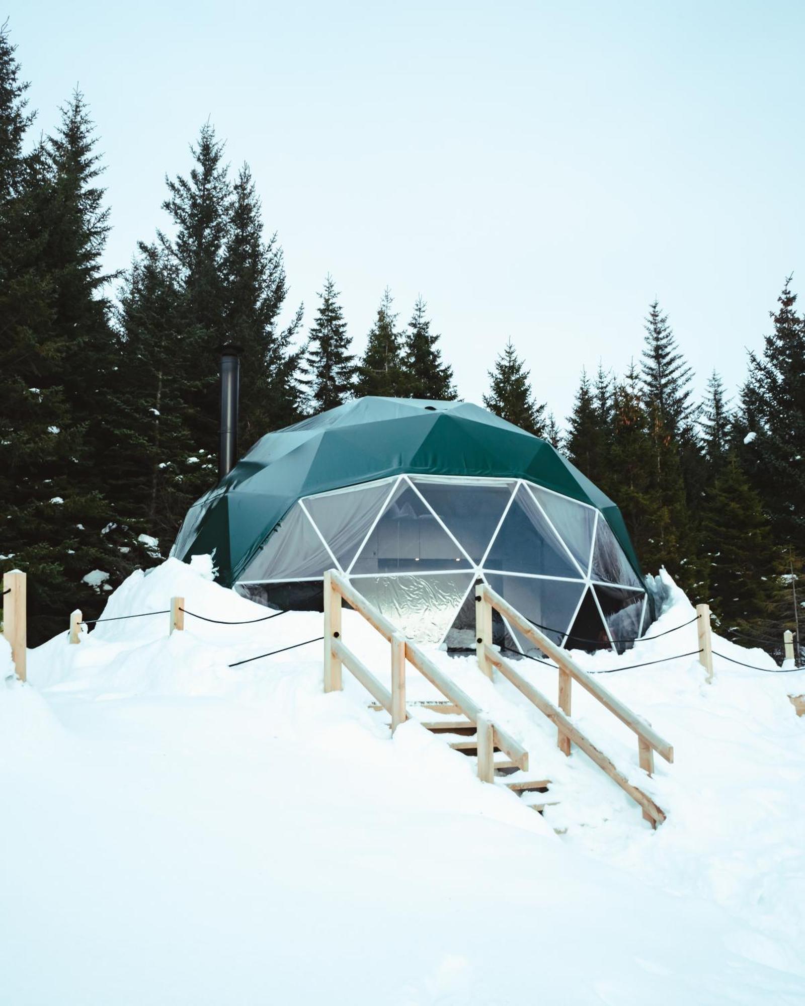 Golden Circle Domes - Glamping Experience Hotel Selfoss Exterior photo